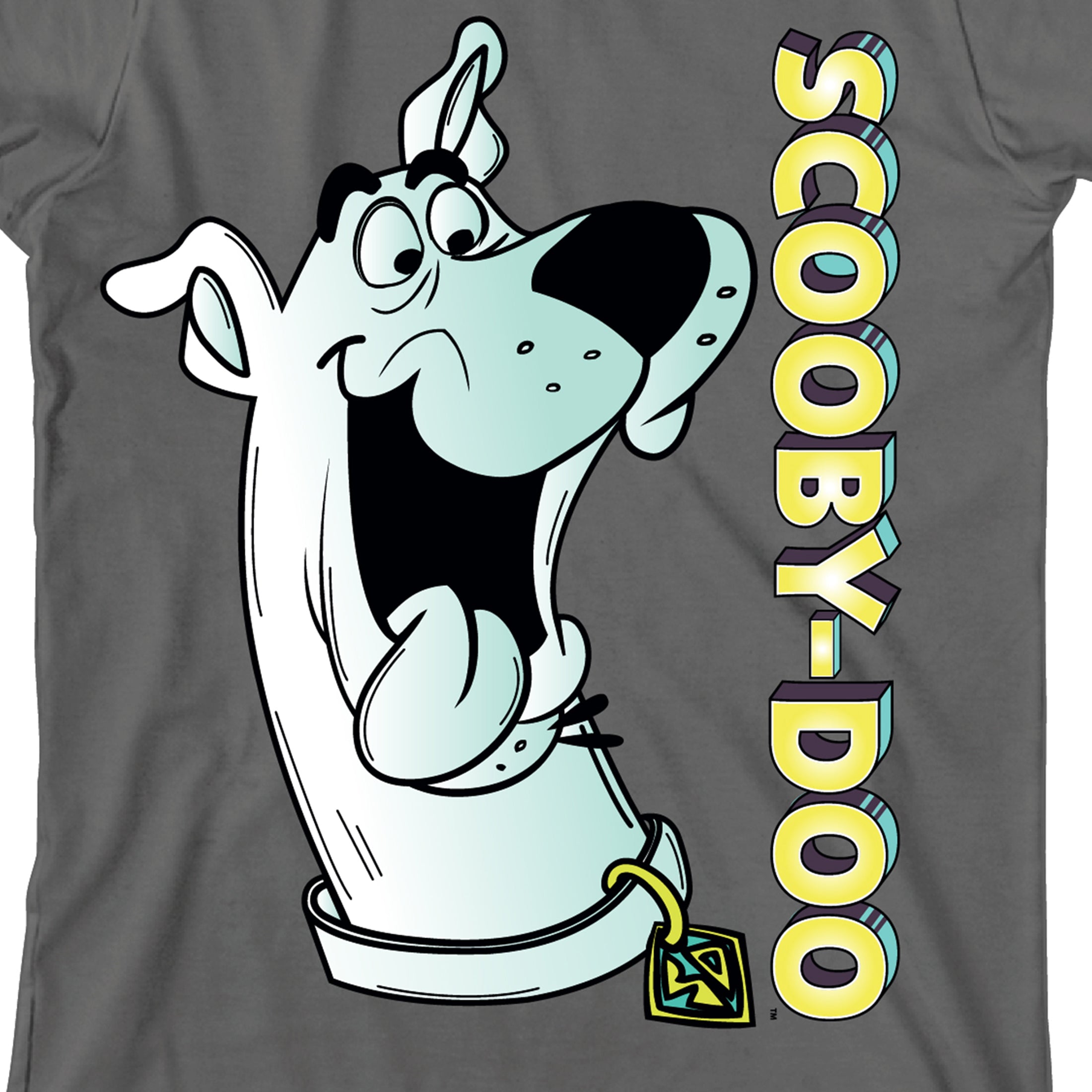 Scooby Doo Youth Charcoal Short Sleeve Tee