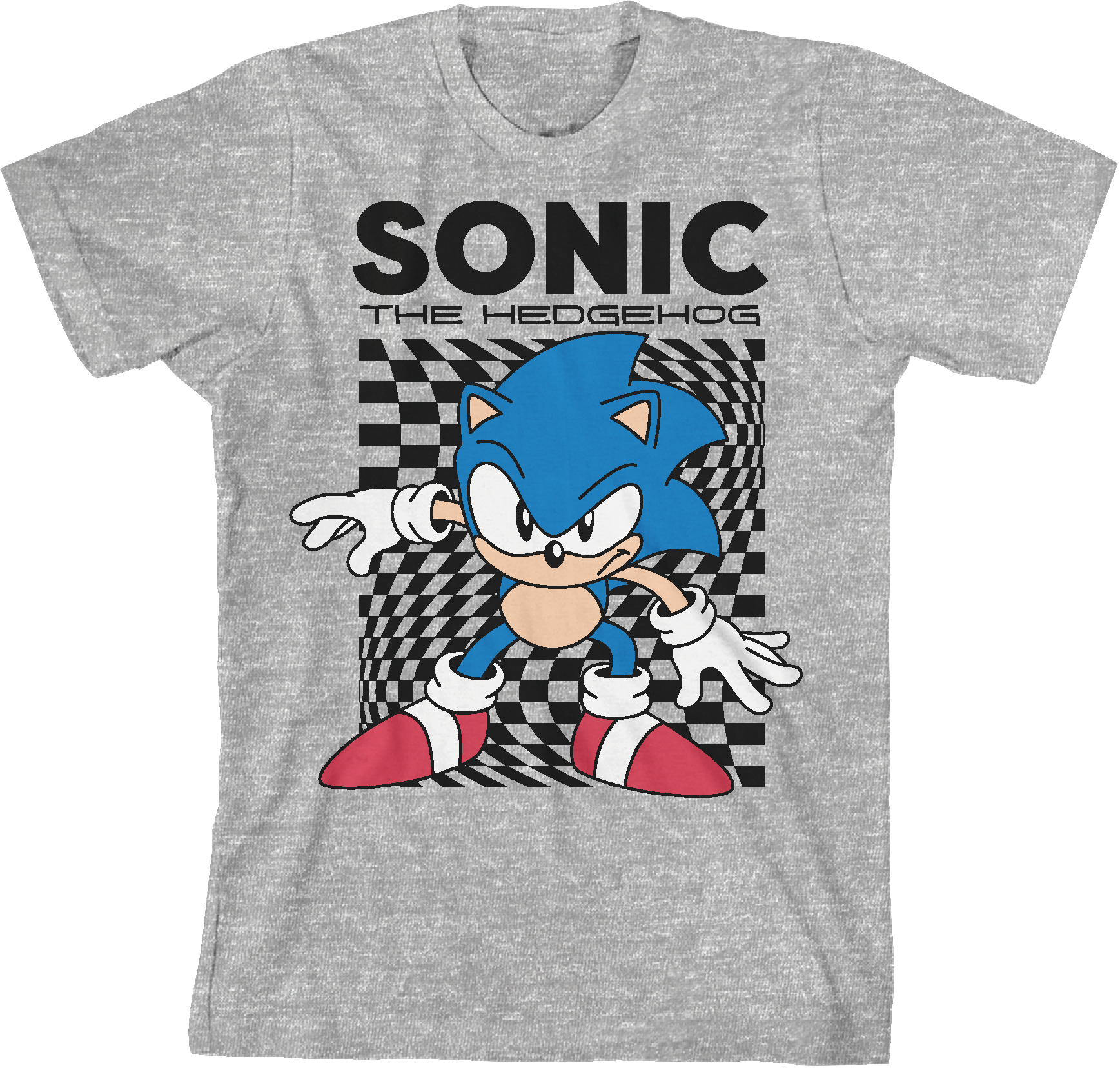 Sonic The Hedgehog Main Character Boy's Tee And Shorts Set