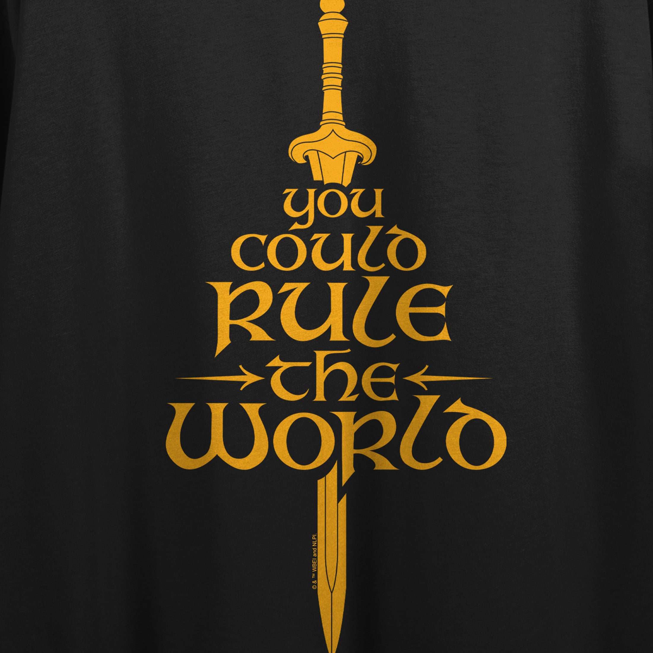 Lord Of The Rings War Of The Rohirrim You Could Rule The World Women's Black Crew Neck Short Sleeve Crop Top