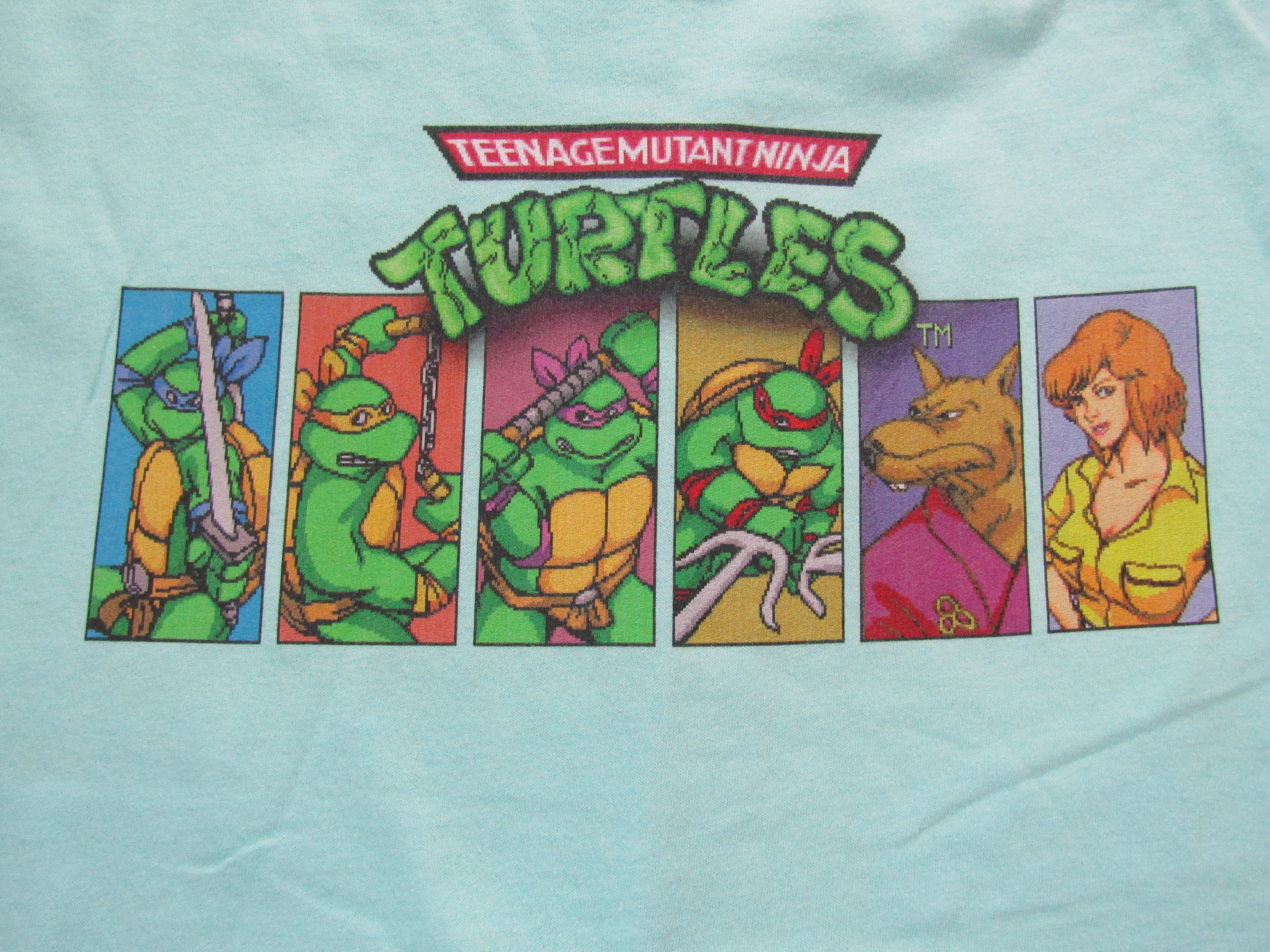 TMNT Classic Characters Splinter and April O'Neil Men's Celadon Graphic Tee