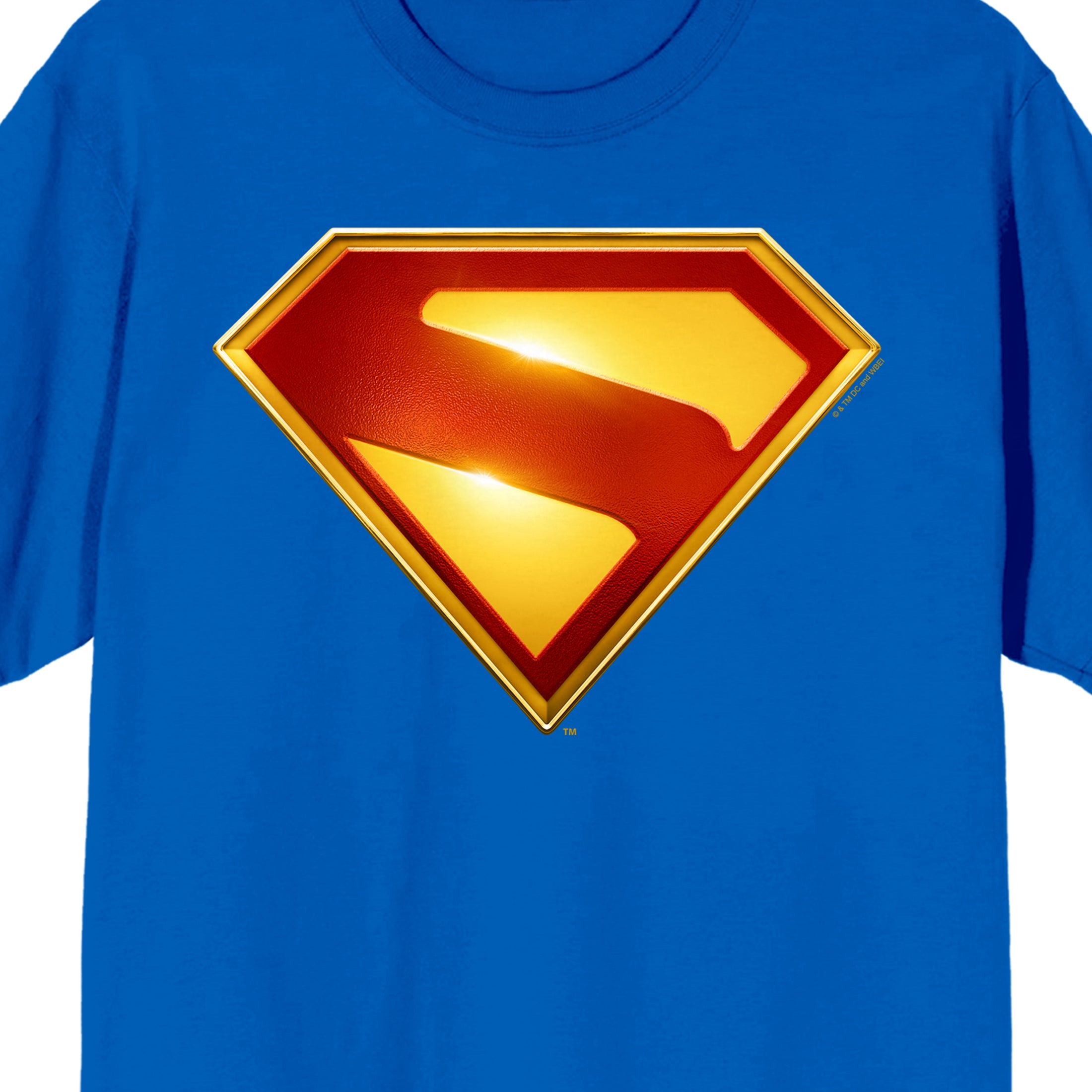 Superman Logo Adult Crew Neck Short Sleeve T-shirt