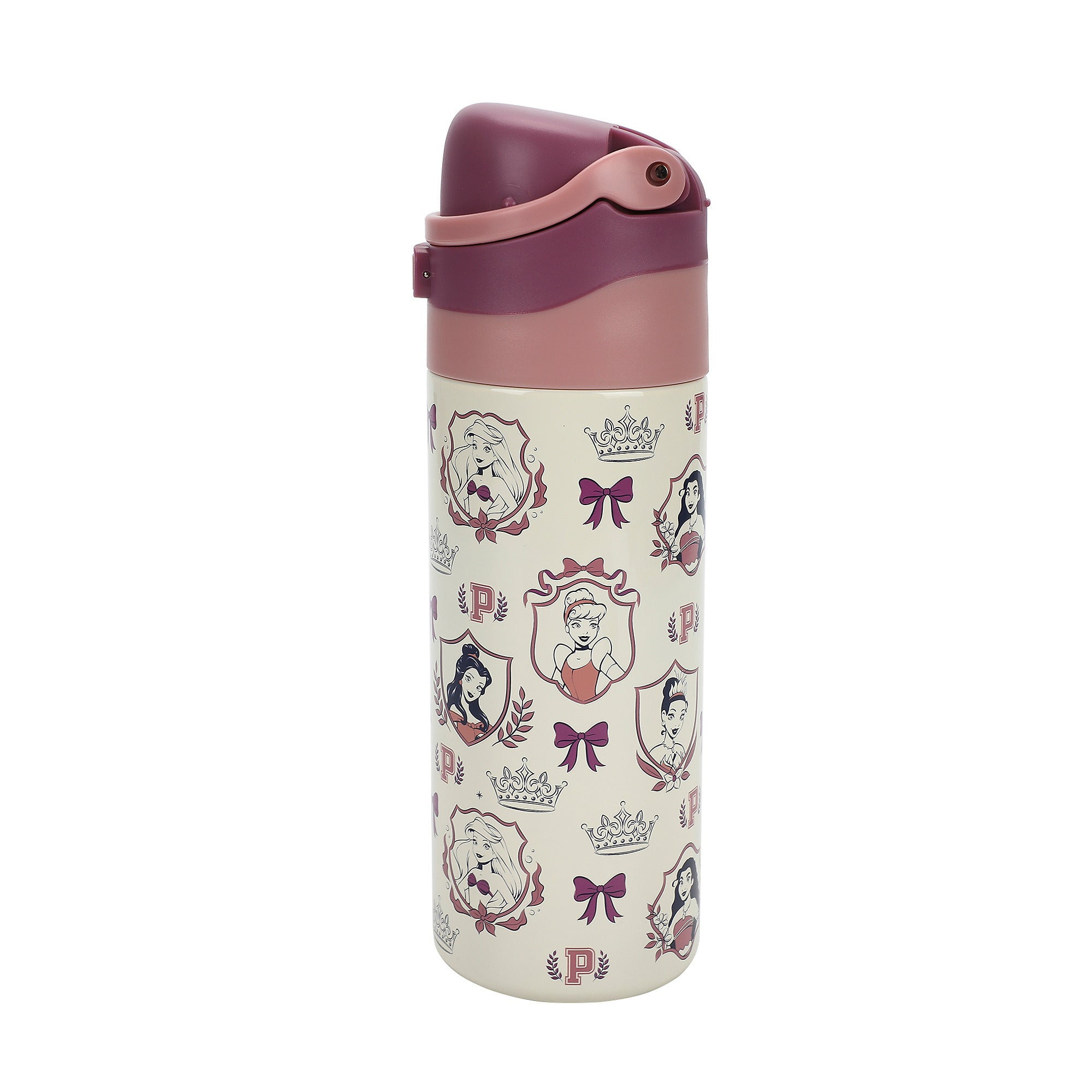 Disney Princess All-Over Character Print 24 Oz Stainless Steel Water Bottle