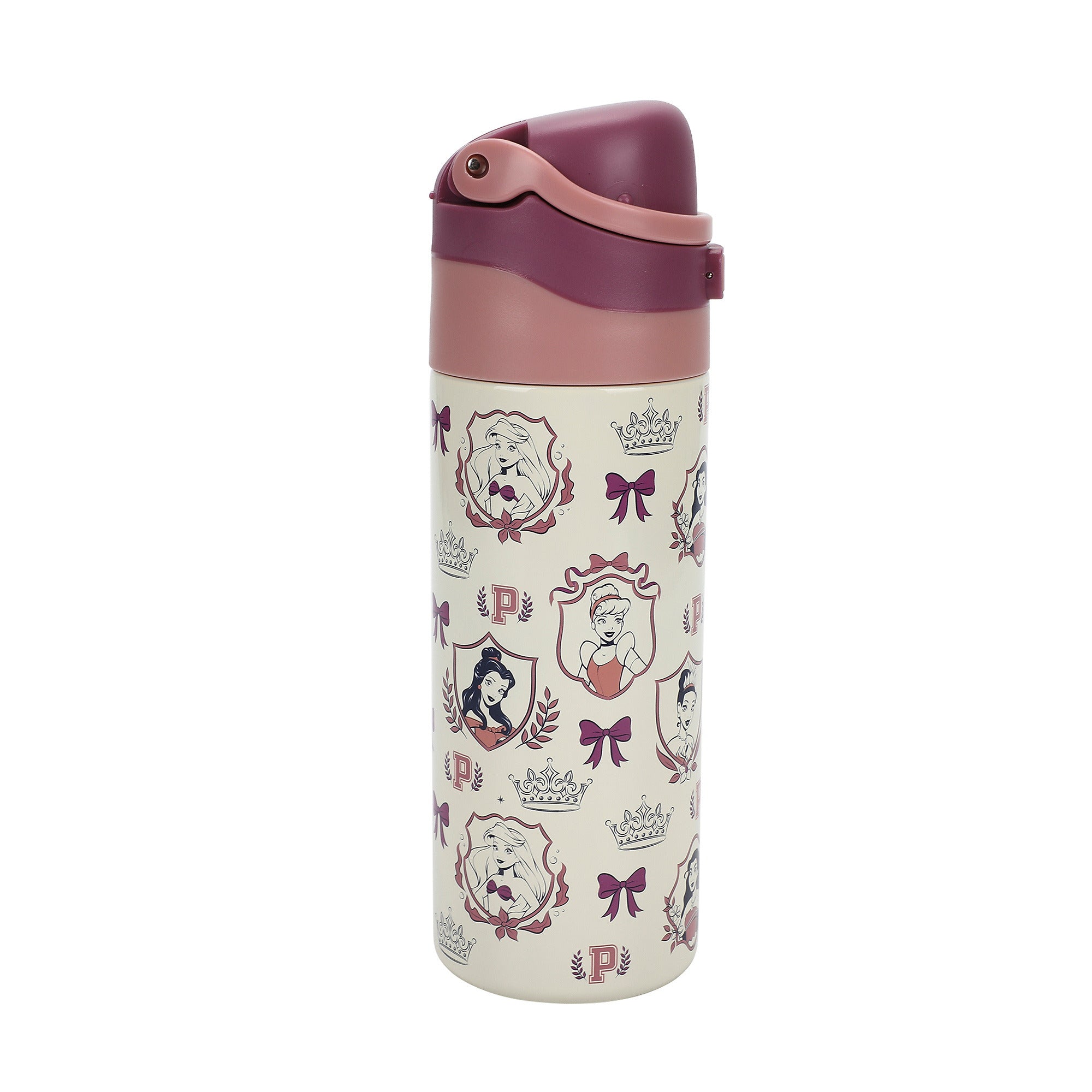 Disney Princess All-Over Character Print 24 Oz Stainless Steel Water Bottle