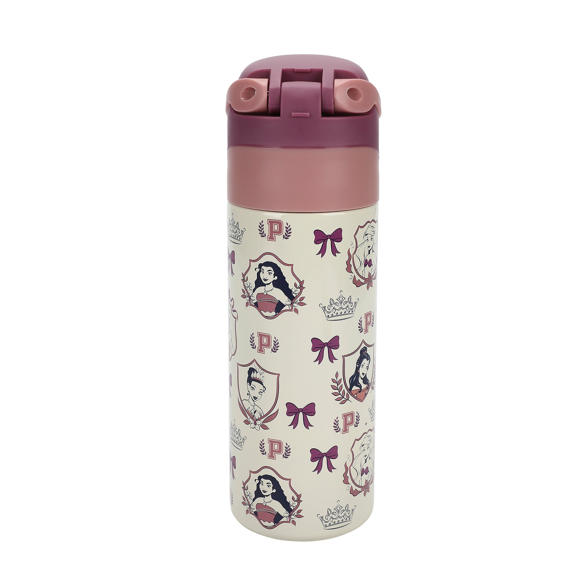 Disney Princess All-Over Character Print 24 Oz Stainless Steel Water Bottle