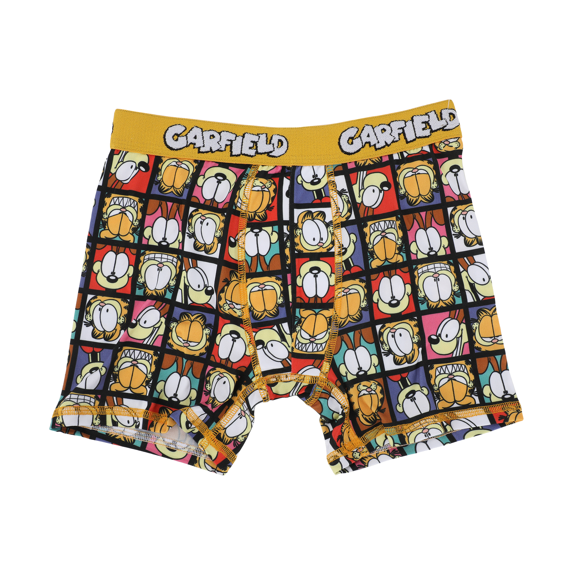 Garfield Character Art 5-Pack Boy's Boxer Briefs