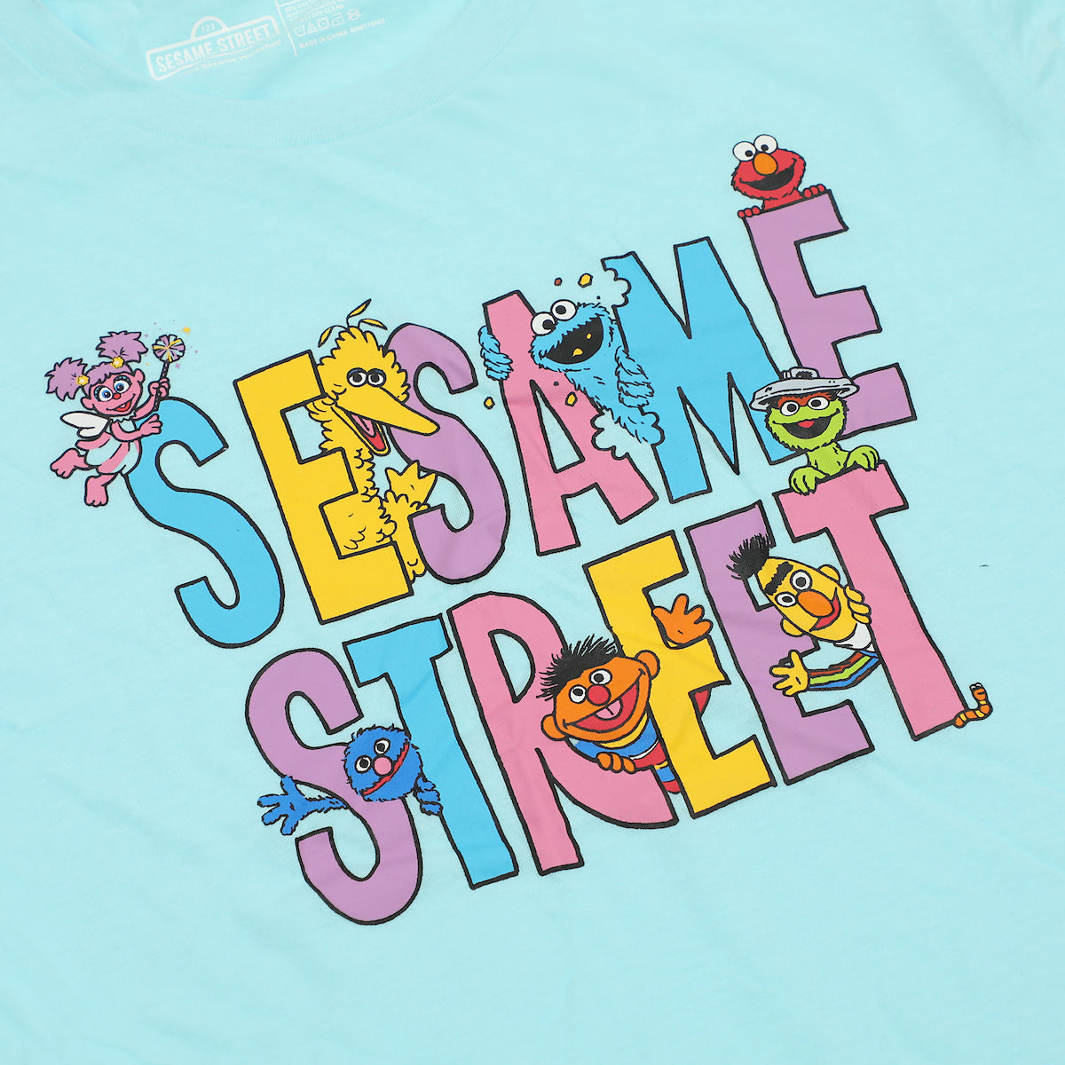 Sesame Street Adult Women's Sleepwear Set with Short Sleeve Tee and Sleep Pants
