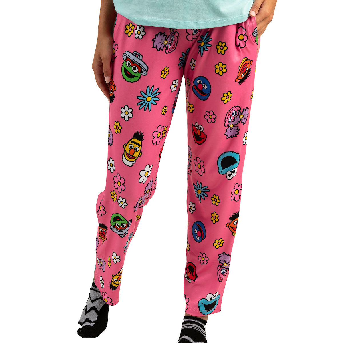Sesame Street Adult Women's Sleepwear Set with Short Sleeve Tee and Sleep Pants