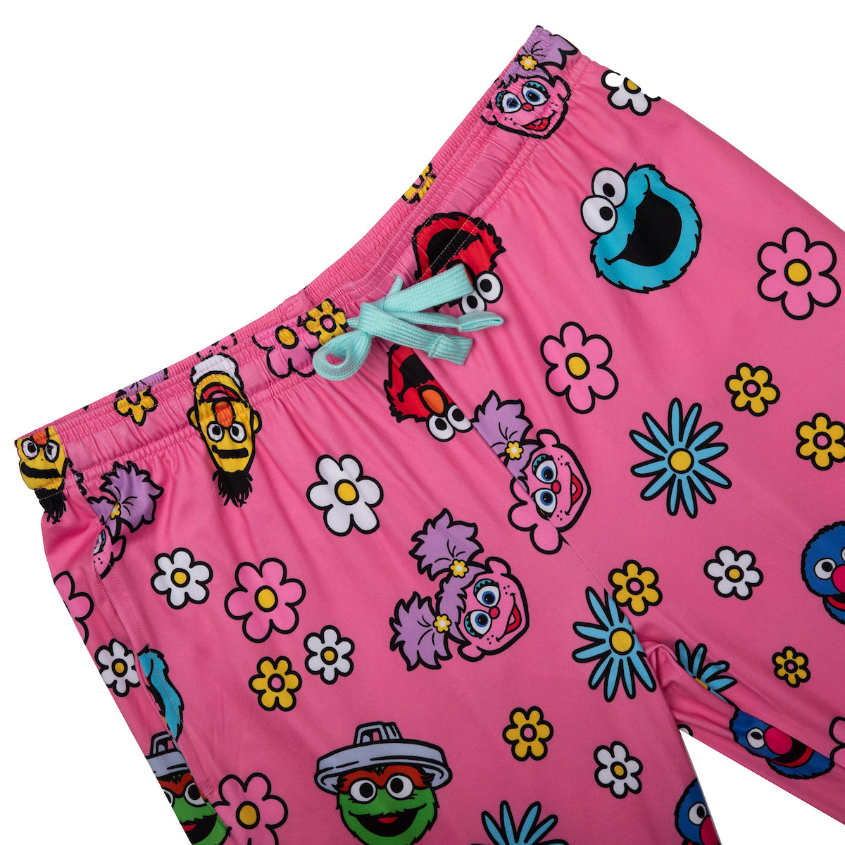 Sesame Street Adult Women's Sleepwear Set with Short Sleeve Tee and Sleep Pants