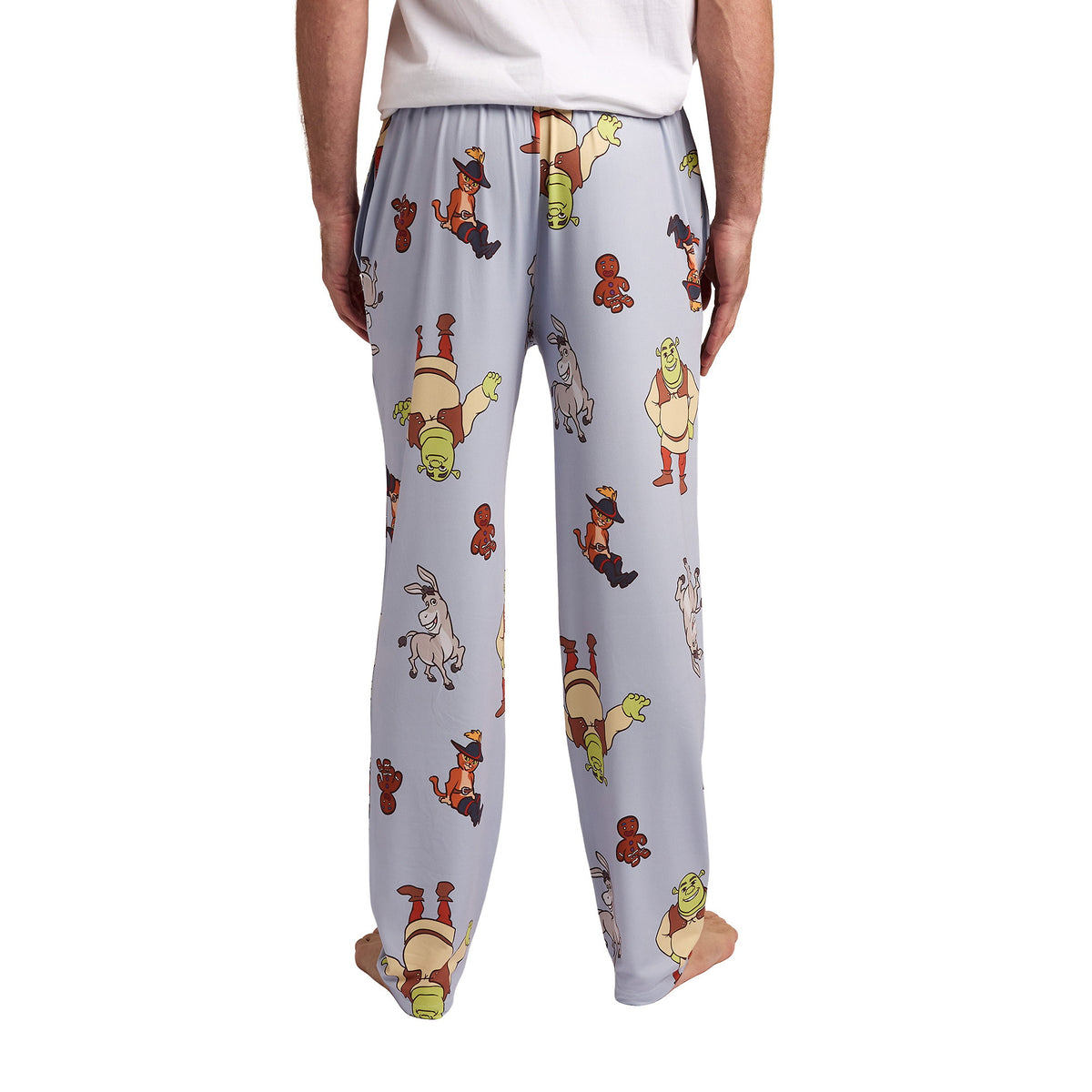 Shrek Franchise Favorite Characters All-Over Print Men's Sleep Pajama Pants