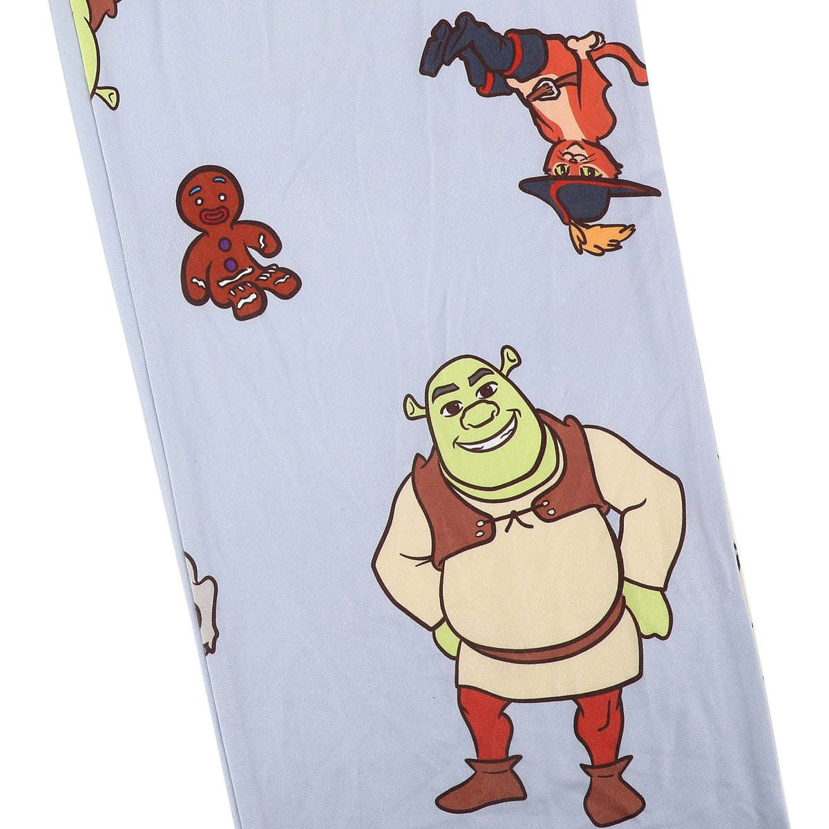 Shrek Franchise Favorite Characters All-Over Print Men's Sleep Pajama Pants