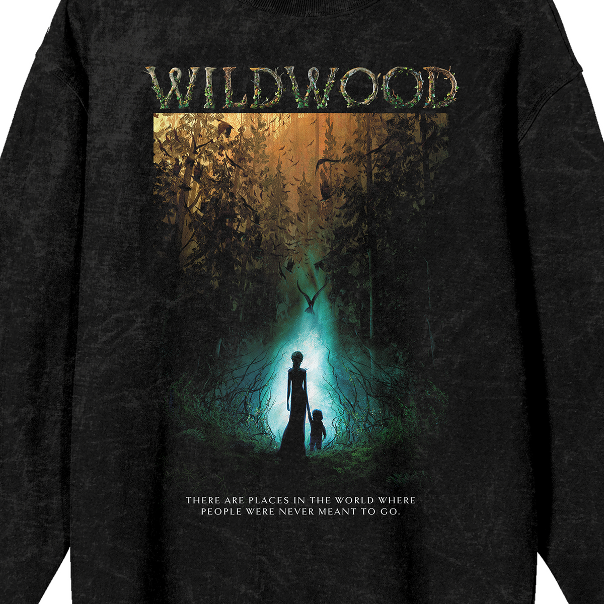Wildwood Key Poster Art Sweatshirt Black Mineral Wash