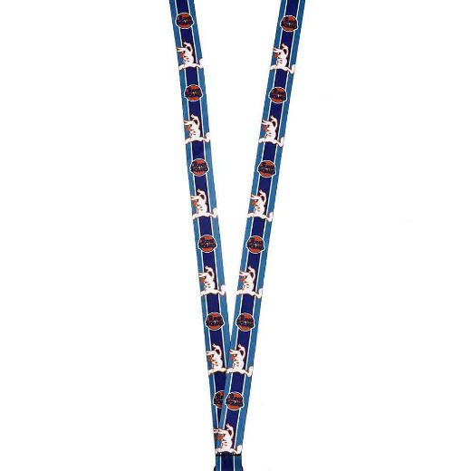 Picture of Space Jam A New Legacy Tune Squad Lanyard