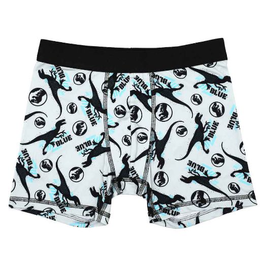Picture of Jurassic Park Youth 5 pc. Boxer Briefs