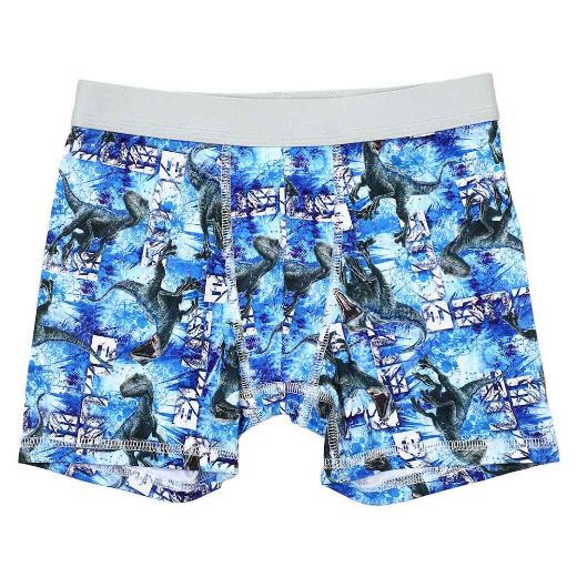 Picture of Jurassic Park Youth 5 pc. Boxer Briefs