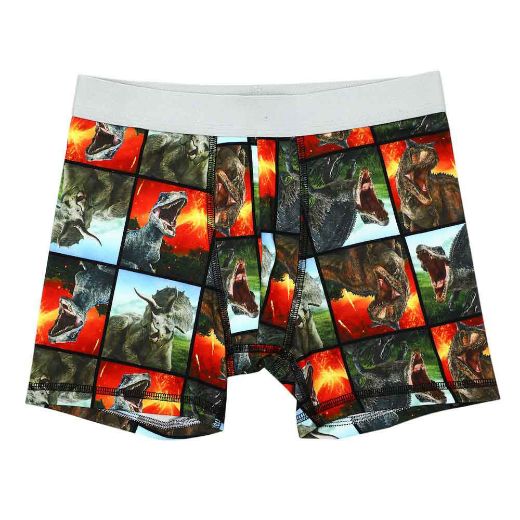 Picture of Jurassic Park Youth 5 pc. Boxer Briefs