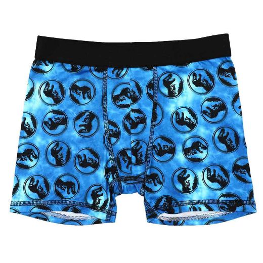 Picture of Jurassic Park Youth 5 pc. Boxer Briefs