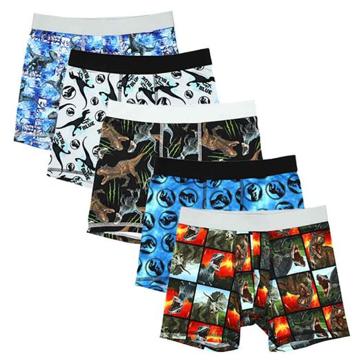 Picture of Jurassic Park Youth 5 pc. Boxer Briefs