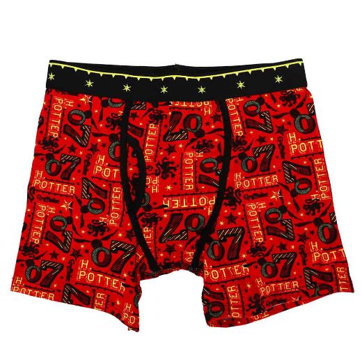 Picture of Harry Potter Quidditch AOP Pre-pack Boxer Briefs