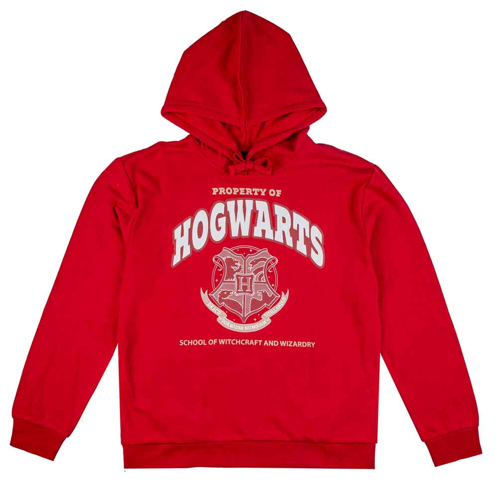 Hogwarts hot sale alumni sweater