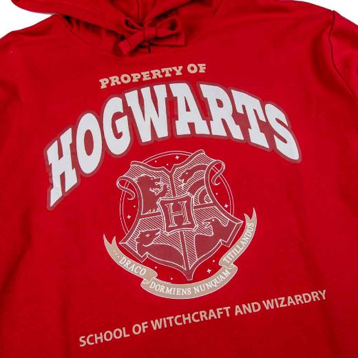 Picture of Harry Potter Hogwarts Alumni Hoodie & Jogger Combo