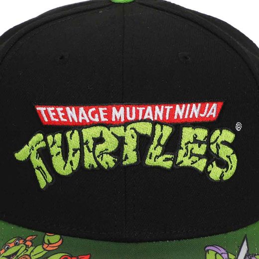 Picture of Teenage Mutant Ninja Turtles Classic Pre-Curved Bill Snapback