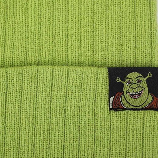 Picture of Dreamworks Shrek 3D Ribbed Cuff Beanie