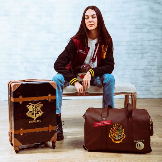 Picture of Harry Potter Hogwarts 20 in. Rolling Luggage