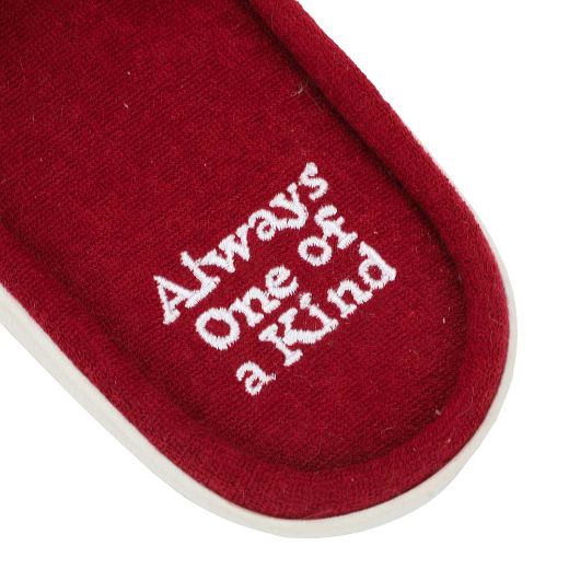 Picture of Dr. Pepper Terry Cloth Slides