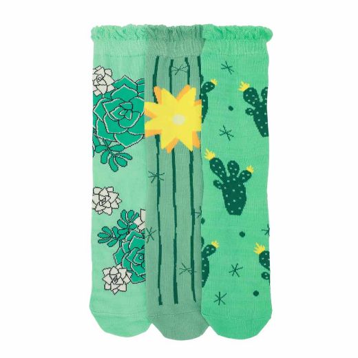 Picture of Bioworld Fresh Sockulents 3 Pair Crew Box Set