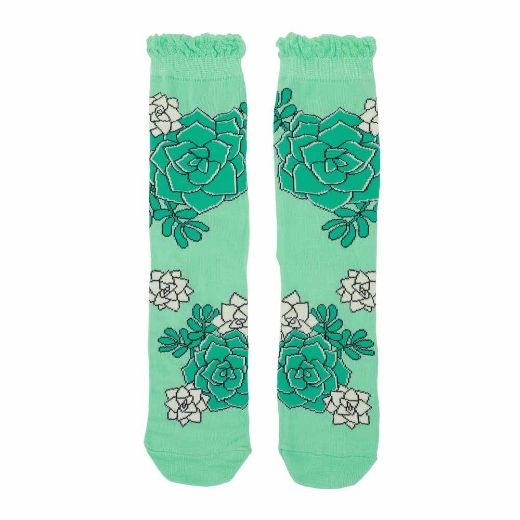 Picture of Bioworld Fresh Sockulents 3 Pair Crew Box Set