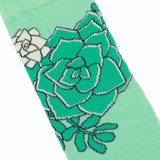 Picture of Bioworld Fresh Sockulents 3 Pair Crew Box Set
