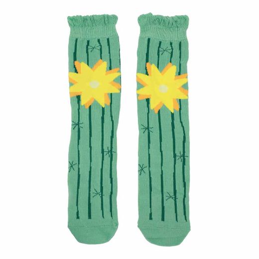 Picture of Bioworld Fresh Sockulents 3 Pair Crew Box Set