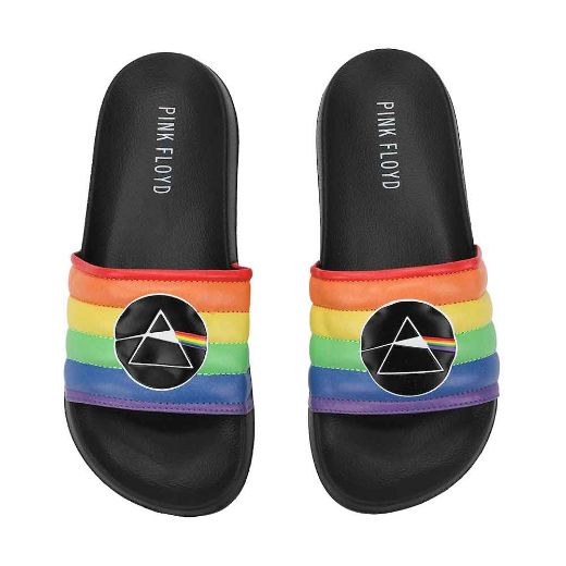 Picture of Pink Floyd The Dark Side of the Moon Slides