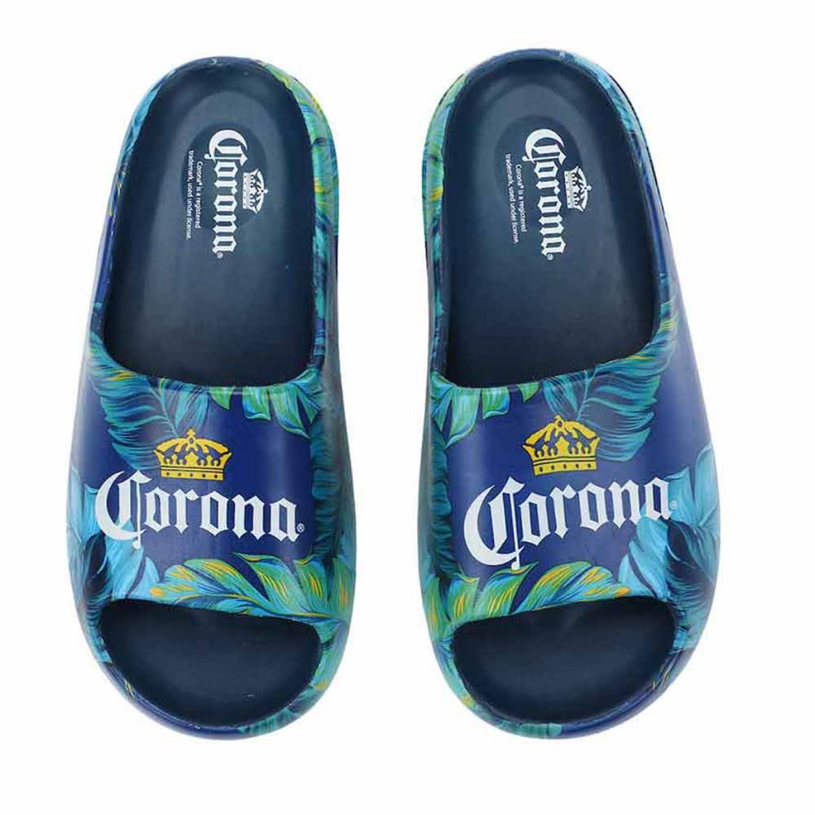 Picture of Corona Tropical Cloud Slides