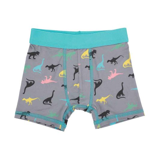 Picture of Bioworld Dinosaur Themed Toddler 5 pc. Boxer Briefs