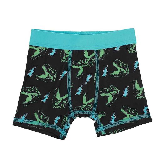 Picture of Bioworld Dinosaur Themed Toddler 5 pc. Boxer Briefs