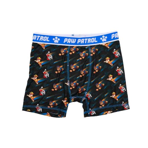 Picture of Paw Patrol Character's Youth 5 pc. Boxer Briefs