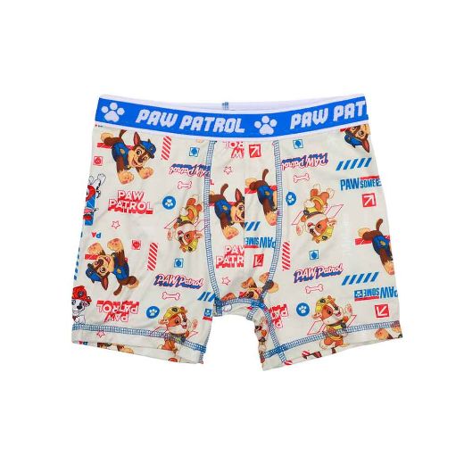 Picture of Paw Patrol Character's Youth 5 pc. Boxer Briefs