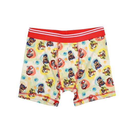Picture of Paw Patrol Character's Youth 5 pc. Boxer Briefs