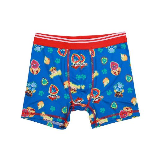 Picture of Paw Patrol Character's Youth 5 pc. Boxer Briefs