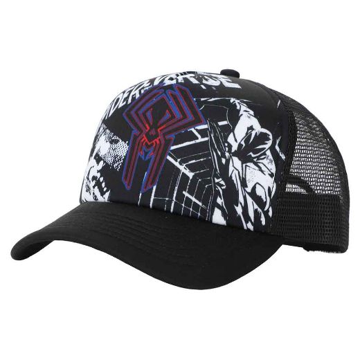 Picture of Marvel Spider-Man Comic Trucker