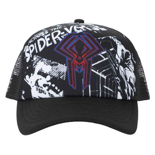 Picture of Marvel Spider-Man Comic Trucker