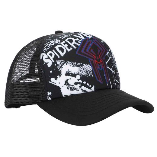 Picture of Marvel Spider-Man Comic Trucker