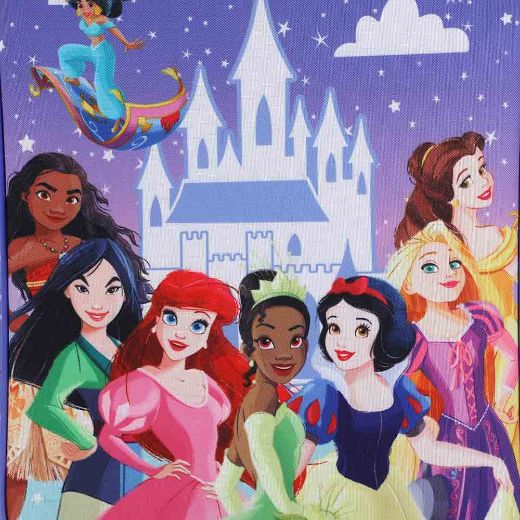 Picture of Disney Princess 3 pc Youth Travel Set