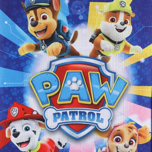 Picture of PAW Patrol 3 pc Youth Travel Set