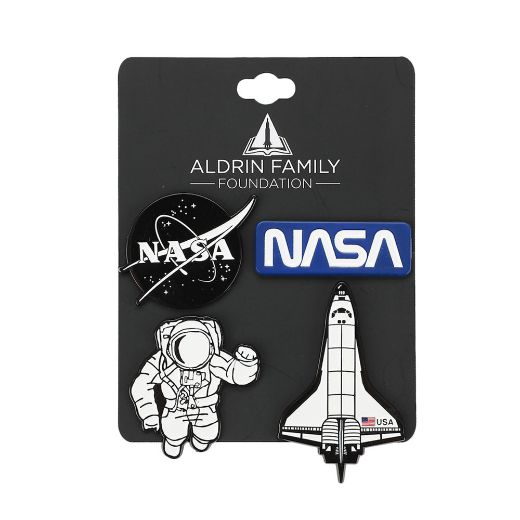 Picture of NASA Lapel Pins