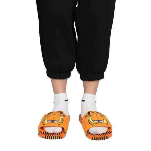 Picture of Garfield 3D Character Slides