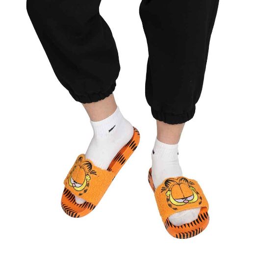 Picture of Garfield 3D Character Slides