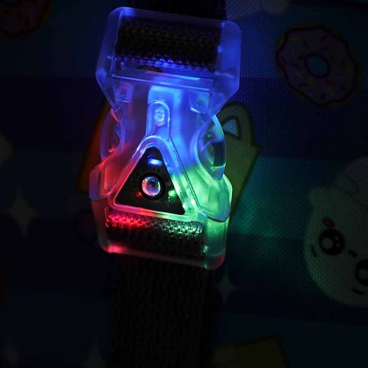 Picture of LankyBox Light Up Buckle 4 pc Toddler Backpack Set