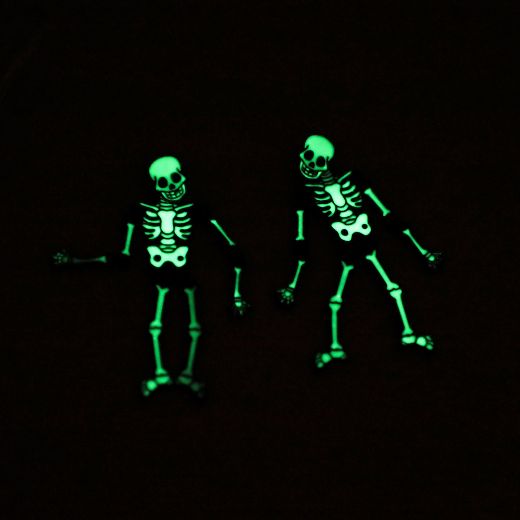 Picture of Bioworld Glow in the Dark Skeleton Earrings